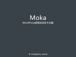 Moka主题-极简自动发卡WordPress主题-清悠社区